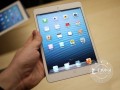 7.9英寸A5雙核 iPad mini超低冰點(diǎn)價(圖)