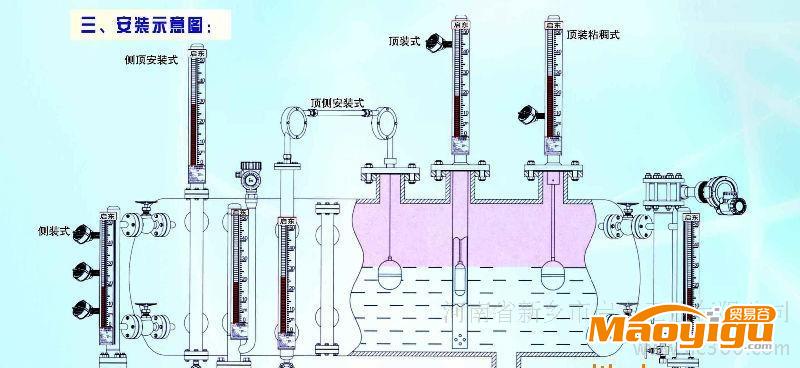 CDS-6 磁敏電子雙色液位計