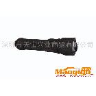 供應(yīng)美國 進(jìn)口 BRIGHT-STAR 60101 照明 燈具 LED 電筒