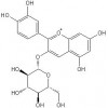 氯化矢車菊素-3-O-葡萄糖苷，氯化矢車菊素