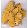 質(zhì)優(yōu)價廉的大黃素，虎杖提取物，植物提取物