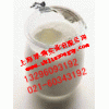 上海廠家直銷高質(zhì)量低價格乳酸菌質(zhì)量可靠量大從優(yōu)