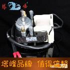 供應(yīng)塔峰Motor-20w-2220V交流異步電動(dòng)機(jī)單相