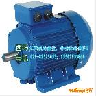 供應(yīng)西安泰富西瑪YGM2-160M1-2 11KW  IP54，F(xiàn)級(jí)，西瑪電機(jī)