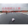 云浮市50mmpp土工格室，150mmPP土工格室廠家，價(jià)格，報(bào)價(jià)，電話1