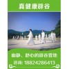 在廣州哪里可以辟谷10大全攻略找《真健康辟谷》