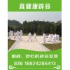 辟谷會(huì)所哪家正規(guī)——長沙辟谷