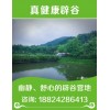 呼和浩特7天清水辟谷——【專業(yè)】避谷科學性