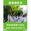 惠州辟谷養(yǎng)生班——清明辟谷班