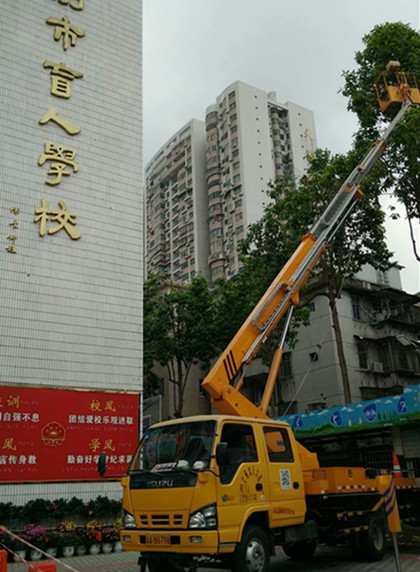 廣東東源車載式高空車出租-中橋建