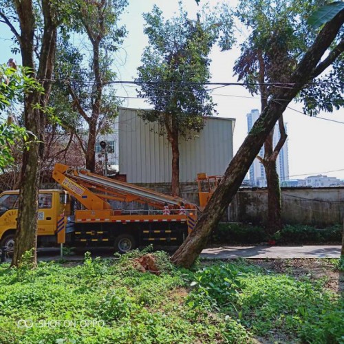 廣東南山天橋刷漆車出租-中橋建