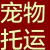 客車：本溪到宿遷長途臥鋪客車