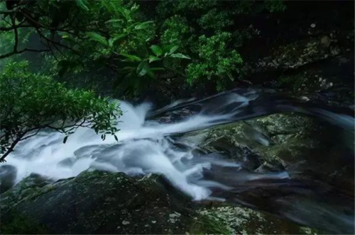 惠州雅居樂花園值得投資嗎/怎么樣/優(yōu)點(diǎn)/戶型-惠州開發(fā)商房產(chǎn)樓市焦點(diǎn)