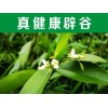 臺(tái)北辟谷修行班——這里薦選【辟谷營(yíng)】辟谷哪家靠譜、