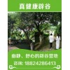 終南山辟谷養(yǎng)生哪里專業(yè)_辟谷調(diào)理【全國(guó)開(kāi)班】