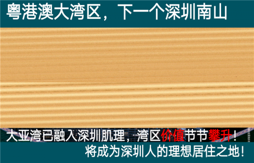 新聞:惠州大亞灣精裝修房好出租嗎?公園上城二期敢不敢買?