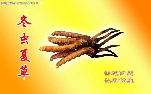 韶關(guān)回收冬蟲夏草禮品丨韶關(guān)回收蟲草、茅臺(tái)