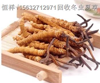 陽(yáng)江冬蟲夏草回收價(jià)格18611557770陽(yáng)江回收極草5X冬蟲夏草含片