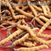 白城冬蟲(chóng)夏草海參回收丨白城回收蟲(chóng)草、茅臺(tái)