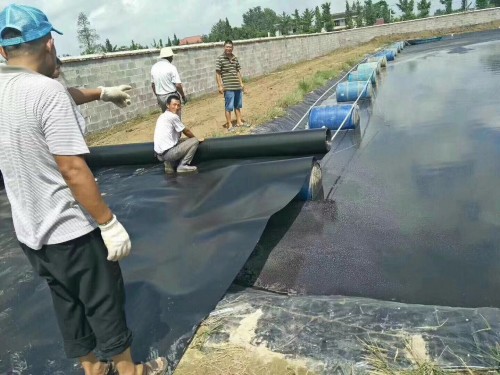 新聞：日照淺水藕養(yǎng)殖防滲膜現(xiàn)貨